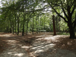 Sallandse Heuvelrug